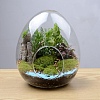 Egg-Shaped Glass Vase PW-WG75554-02-1