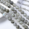 Natural Labradorite Round Beads Strands LS-G-S158-8mm-4