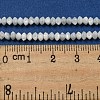 Natural Trochus Shell Rondelle Beads Strands SSHEL-H072-01B-4