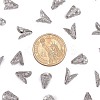 Non-Tarnish Apetalous 316 Surgical Stainless Steel Cone Bead Caps LS-X-STAS-M257-02-2