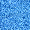 11/0 Czech Opaque Glass Seed Beads SEED-N004-003B-17-4