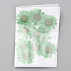 Pressed Dried Flowers DIY-WH0308-412H-1-2