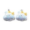 Weather Theme Opaque Resin Pendants LS-RESI-R444-01C-1