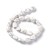 Natural Howlite Beads Strands G-L235A-14-3