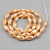 Electroplate Natural Freshwater Shell Beads Strands SHEL-T017-13B-2