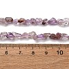 Natural Purple Phantom Quartz Purple Lodolite Quartz Beads Strands G-I389-A23-5
