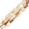 Natural Seashell Beads Strands BSHE-H109-09-1