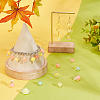 234Pcs Transparent Acrylic Beads TACR-PH0001-68-5