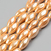 Electroplate Natural Freshwater Shell Beads Strands SHEL-T017-13B-4