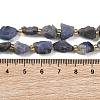 Raw Rough Natural Tanzanite Beads Strands G-D101-A12-5