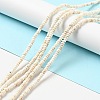Natural Magnesite Beads Strands G-D474-02B-6