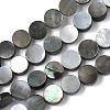 Natural Black Lip Shell Beads Strands BSHE-D300-05-8mm-1