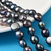 Natural Cultured Freshwater Pearl Beads Strands PEAR-P064-19L-01A-1