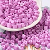 Baking Painted Glass Bead SEED-H002-K-D308-1