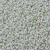 MIYUKI Round Rocailles Beads SEED-X0054-RR2353-2