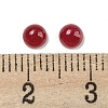 Natural White Jade Dyed Cabochons G-H309-03-23-3