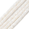 Natural Freshwater Shell Beads Strands SSHEL-C013-04B-1