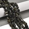 Natural Larvikite Beads Strands G-P497-01E-85-2