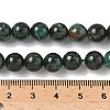 Natural Fuchsite Beads Strands G-G271-B03-8mm-5