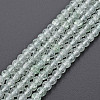 Crackle Glass Beads Strands GLAA-S192-B-006G-1