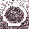 Frosted Glass Seed Beads SEED-N008-05J-2