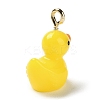 Opaque Resin Cartoon Pendants CRES-Z004-01A-G-2