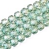 Baking Paint Transparent Glass Beads Strands LS-DGLA-A035-T8mm-A11-1