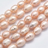 Natural Cultured Freshwater Pearl Beads Strands PEAR-F007-85A-01A-X-1