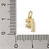 Rack Plating Brass with ABS Plastic Imitation Pearl Charms KK-B092-30F-G-3
