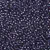 TOHO Round Seed Beads SEED-JPTR11-0265-2