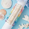16Pcs 16 Colors Summer Beach Sea Turtle Synthetic Turquoise & Shell Pearl & Polymer Clay Beaded Stretch Bracelet Sets BJEW-JB10810-3