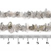 Natural Labradorite Beads Strands G-G0003-B43-5