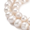 Natural Cultured Freshwater Pearl Beads Strands PEAR-C003-12G-X-4