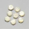 Natural White Shell Mother of Pearl Shell Cabochons SSHEL-R042-10-1