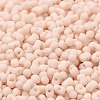 Glass Frosted Seed Beads SEED-K009-05B-07-3
