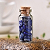 Glass Wishing Bottles PW-WG27717-24-1
