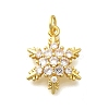 Brass Micro Pave Cubic Zirconia Pendants KK-D295-22G-1