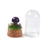 Natural Amethyst Mushroom Display Decoration with Glass Dome Cloche Cover G-E588-03H-4