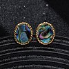 304 Stainless Steel Natural Paua Shell Stud Earrings EJEW-Z103-02G-01-2