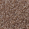 MIYUKI Delica Beads Small X-SEED-J020-DBS0102-3