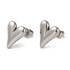 Non-Tarnish 304 Stainless Steel Stud Earring EJEW-C099-04P-2
