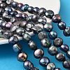 Natural Cultured Freshwater Pearl Beads Strands PEAR-P064-19L-03A-1