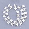 Natural Freshwater Shell Beads SHEL-T012-59N-2