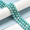 Synthetic Turquoise Beads Strands G-P508-A05-01-2
