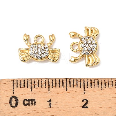 304 Stainless Steel with Crystal Rhinestone Charms STAS-G358-05G-02-1