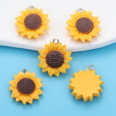 Resin Pendants PW-WG4732E-14-1