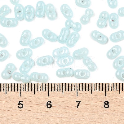 Baking Paint Glass Seed Beads SEED-L011-09A-08-1