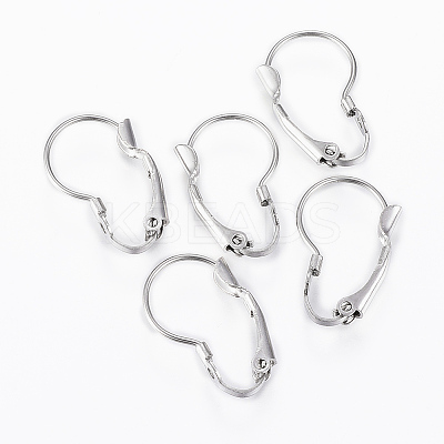 Tarnish Resistant 304 Stainless Steel Leverback Earring Findings X-STAS-G161-20B-1