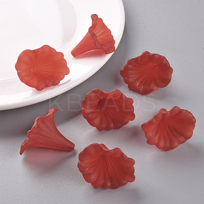 Transparent Acrylic Beads BSF796-C12-1