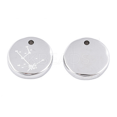 Non-Tarnish 316 Surgical Stainless Steel Charms STAS-S116-418A-P-1
